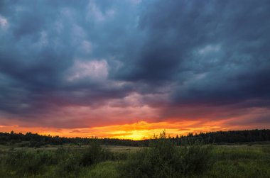 Bulutların üzerinde orman içinde güneşli gün batımı