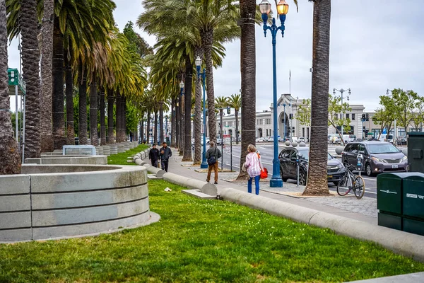 San Francisco California Mayo 2018 Camine Por Ciudad Nocturna Palmeras — Foto de Stock