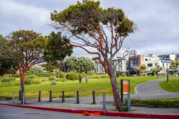 San Francisco California Mayo 2018 Caminata Por Parque Histórico Nacional — Foto de Stock