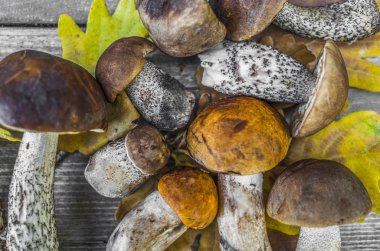 Eski ahşap masa meşe yaprakları ile yenilebilir mantar