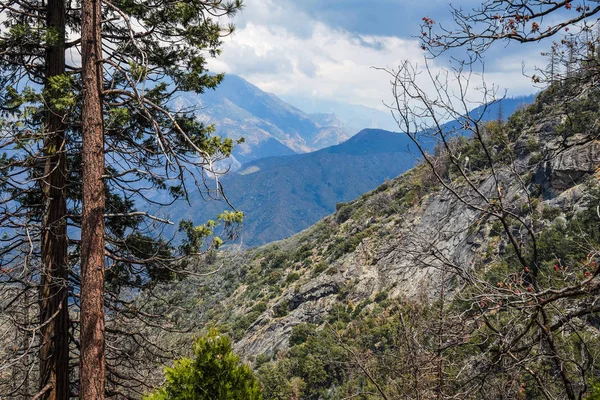 Dağ serpantin Sequoia National Park, Kaliforniya, ABD