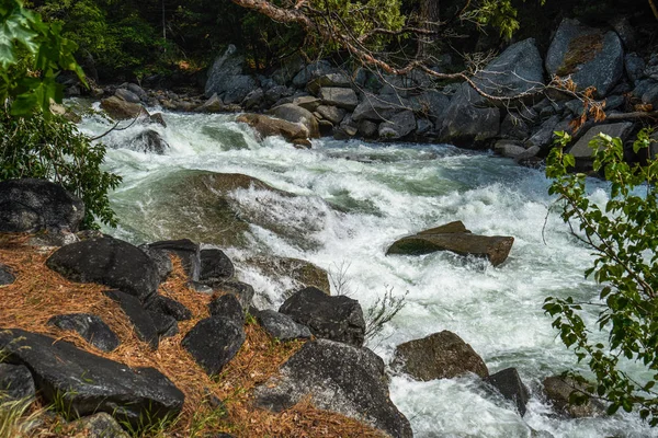 Mountain Stream Sequoia National Park California Usa — Stock Photo, Image