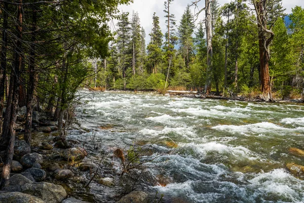 Berg Rivier Sequoia National Park Californië Verenigde Staten — Stockfoto