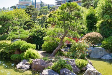 Monaco, Avrupa - 11 Ağustos 2018: park-bahçe havuzları ve farklı bitki örtüsü ile