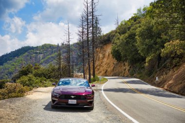 California, Amerika Birleşik Devletleri - Mayıs, 20, 2018: Cherry Blossom Ford Mustang araba Sequoia Ulusal Parkı'nda