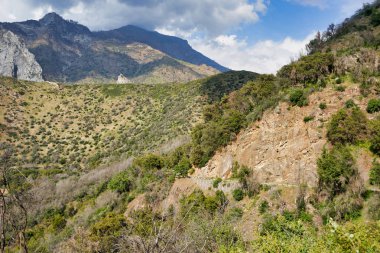 Dağlarda, Sequoia National Park, ABD yeşil çayırlar