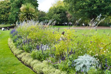 St James Park, Londra, İngiltere'de İngilizce'nın bahçesinde çiçek açan çiçekler