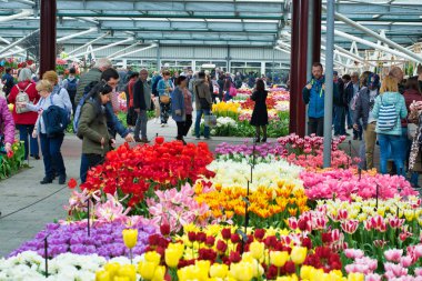 Lisse, Hollanda - 15 Nisan 2018: Çiçek Festivali Keukenhof Park