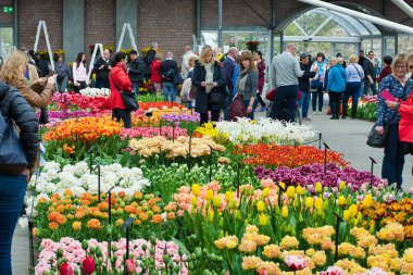 Lisse, Hollanda - 15 Nisan 2018: Çiçek Festivali Keukenhof Park