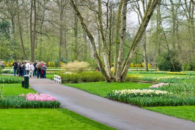 Lisse, Hollanda - 15 Nisan 2018: Çiçek Festivali Keukenhof Park