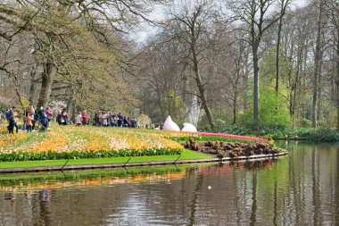 Lisse, Hollanda - 15 Nisan 2018: Çiçek Festivali Keukenhof Park