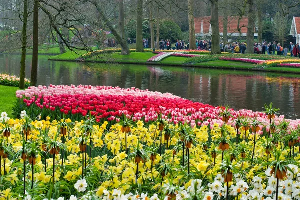 Lisse, Hollanda - 15 Nisan 2018: Çiçek Festivali Keukenhof Park'ta. Lale ve Nergis havuz