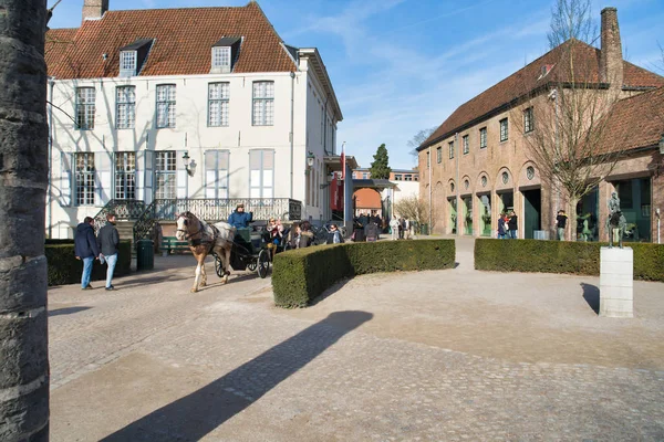 Bruges Belgique Février 2019 Cheval Avec Une Calèche Sur Place — Photo