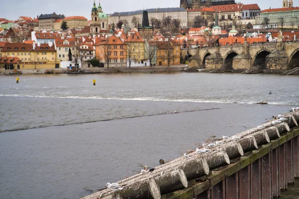 Prague Czech Republic March 2019 Dam Vltava River — Stock Photo, Image