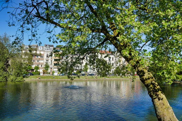 比利时布鲁塞尔 2018年5月6日 沿河的湖泊和树木 弗拉吉大道 — 图库照片