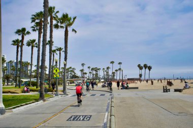 Los Angeles, Abd - 20 Mayıs 2018: La. Palms'daki Santa monica plajında palmiyeler ve iskele ve Los Angeles'taki Santa monica plajındaki iskele
