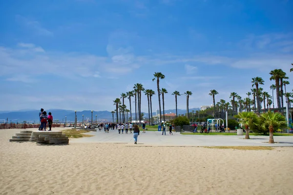 Los Ángeles Mayo 2018 Palmeras Muelle Playa Santa Mónica Los — Foto de Stock