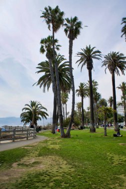 Los Angeles, Abd - 21 Mayıs 2018: La. Palms'daki Santa monica plajında palmiyeler ve iskele ve Los Angeles'taki Santa monica plajındaki iskele