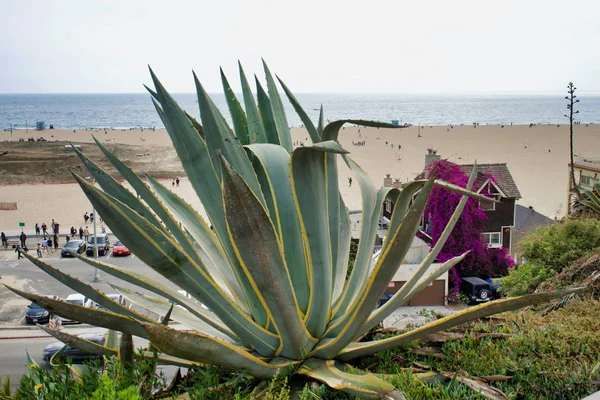 Los Ángeles Mayo 2018 Vista Autopista Costa Del Pacífico Playa — Foto de Stock