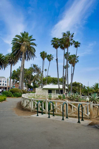 ロサンゼルス アメリカ 2018 パームスとロサンゼルスのサンタモニカビーチのサンタモニカビーチの桟橋 — ストック写真