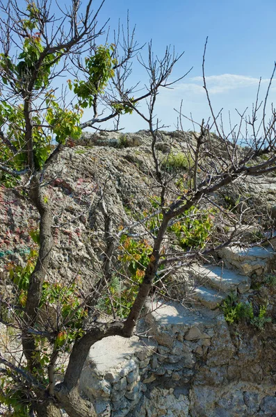 Sentier Montagne Bord Mer Noire Cap Alchak République Crimée — Photo