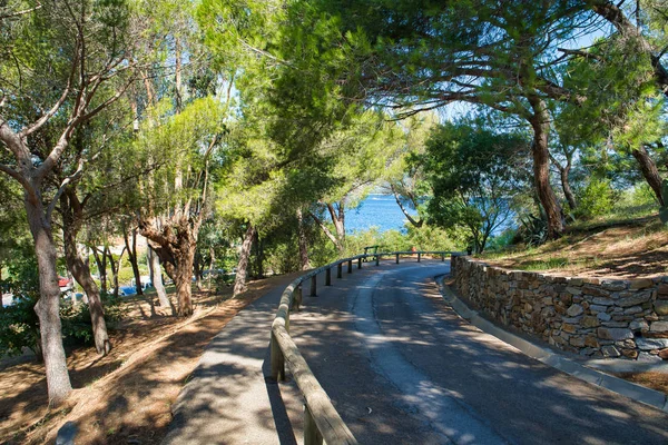 Road to the sea, in the highlands along the green spaces. Resort in the south of France, Saint-Tropez, France. Commune in southeastern France in the region of Provence, Alpes - Cote d\'Azur, France