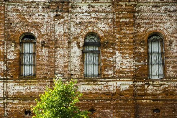 Red brick wall with windows. Old ruined church. Restoration of the temple, Russia