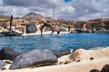 Lanzarote, Kanarya Adaları, İspanya - 20 Nisan 2019: Rancho Texas Park, Lanzarote'nin en büyük hayvanat bahçesidir. Havuzda deniz yunusları ile göster.