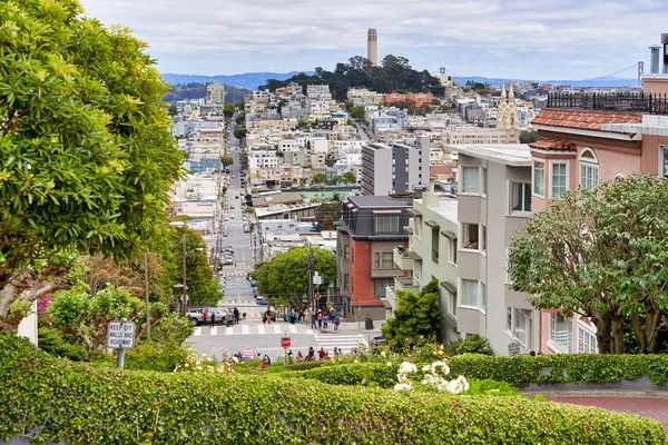 Vista Lombard Street Rua Mais Movimentada Mundo São Francisco Califórnia — Fotografia de Stock