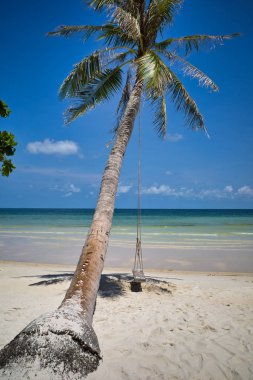 Palmiye ağacının altında ip tahta salıncakta. Tropik ada güzel doğa manzara