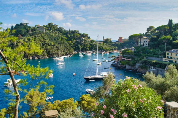 Portofino Włochy Sierpnia 2019 Piękny Port Riwierze Włoskiej Domy Klifie — Zdjęcie stockowe