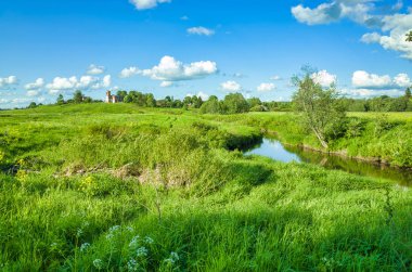 Güneşli bir gün, çayırlar ve bitki örtüsü, mavi gökyüzü. Peksha Nehri. Yazın doğa. Vladimir bölgesindeki Aleksino köyü, Rusya Federasyonu