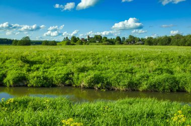 Güneşli bir gün, berrak gökyüzü, çayırlar ve bitki örtüsü. Peksha Nehri. Yazın doğa. Vladimir bölgesindeki Aleksino köyü, Rusya Federasyonu