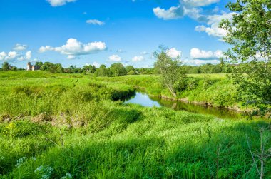 Güneşli bir gün, çayırlar ve bitki örtüsü, mavi gökyüzü. Peksha Nehri. Yazın doğa. Vladimir bölgesindeki Aleksino köyü, Rusya Federasyonu