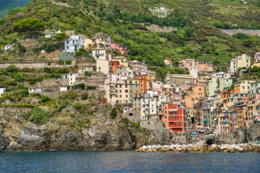 Riomaggiore, Cinque Terre, İtalya - 17 Ağustos 2019: Deniz kıyısındaki köy, kayalık sahilde renkli evler. Avrupa'da popüler bir tatil beldesi