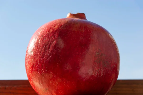 Fruit Ripened Pomegranate Clear Blue Sky — Stock Photo, Image