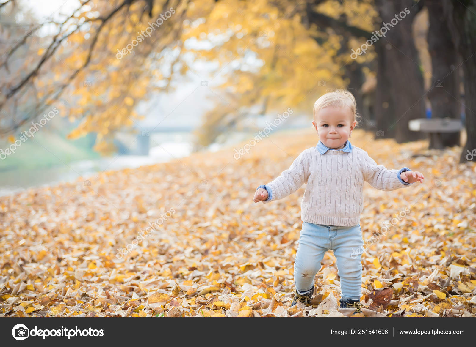 Beautiful baby boy walking throw the autumn leaves at the park. Stock