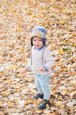 Güzel bebek çocuk parkta poz. Sonbahar sezon.