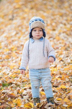 Güzel bebek çocuk parkta poz. Sonbahar sezon.