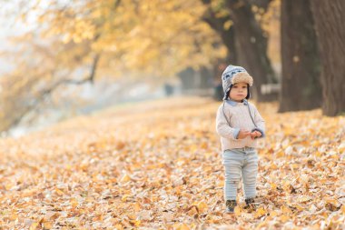 Güzel bebek çocuk parkta poz. Sonbahar sezon.
