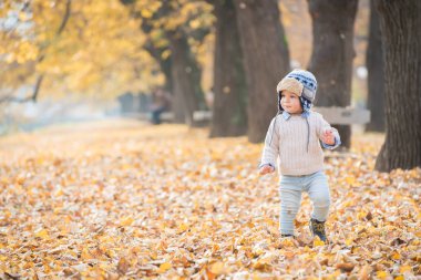 Güzel bebek çocuk yürüyen atmak parkta yaprak.