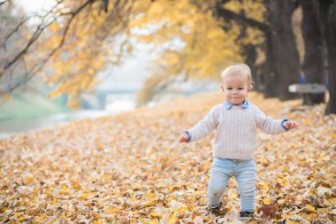 Güzel bebek çocuk yürüyen atmak parkta yaprak.