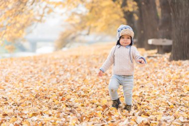 Güzel bebek çocuk yürüyen atmak parkta yaprak.