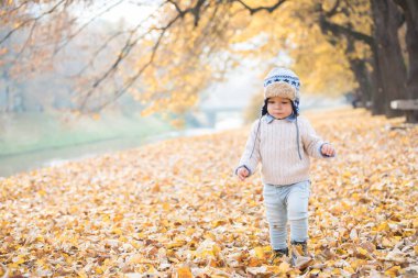 Güzel bebek çocuk yürüyen atmak parkta yaprak.