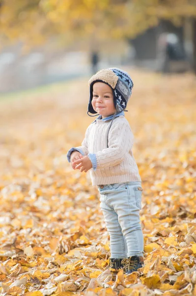 Bellissimo bambino che posa al parco. Stagione autunnale . — Foto Stock