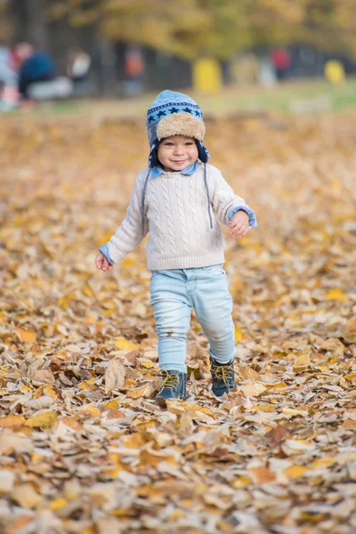 Schöner kleiner Junge, der im Park posiert. Herbstzeit. — Stockfoto