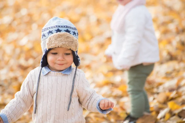 Ritratto di bellissimo bambino che posa al parco. Stagione autunnale — Foto Stock