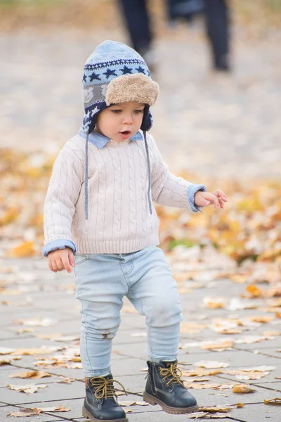 Vacker baby pojke walking kasta hösten lämnar på park. — Stockfoto