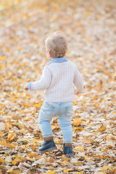 Красивий хлопчик, що гуляє, кидає осіннє листя в парк. Вид ззаду . — стокове фото