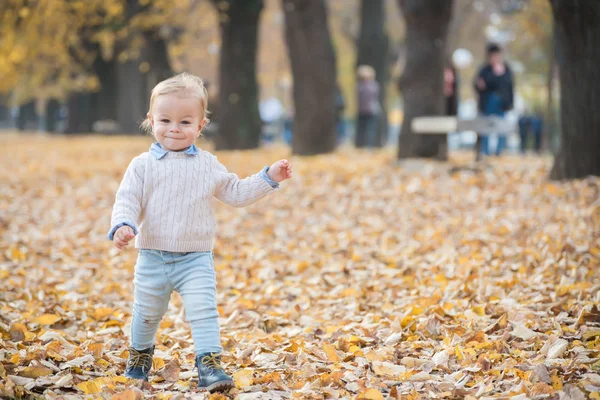 Schöne kleine Junge zu Fuß werfen die Herbstblätter in den Park. — Stockfoto